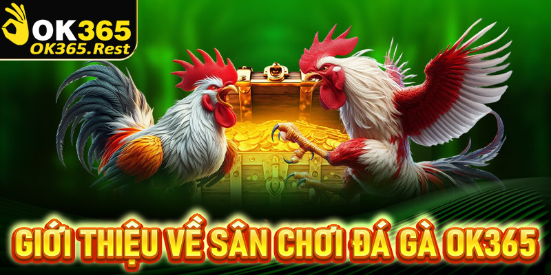 Giới thiệu về sân chơi đá gà OK365