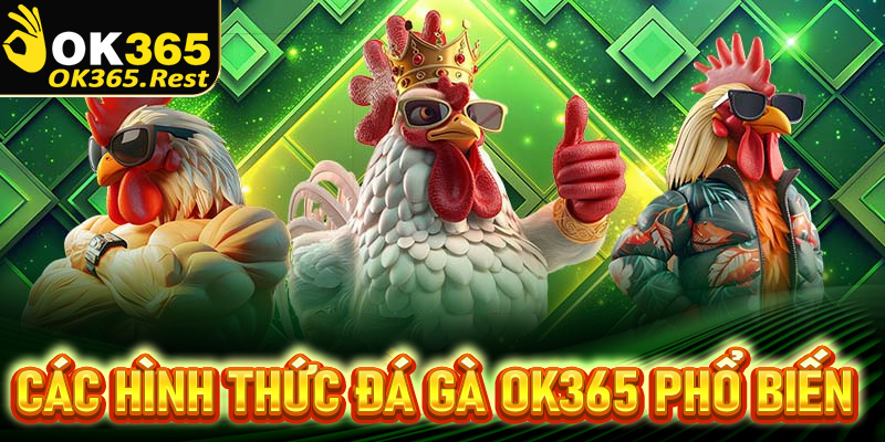 Tổng hợp các hình thức đá gà OK365 phổ biến hiện nay