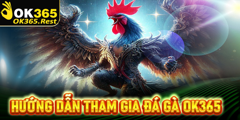 Hướng dẫn thao tác tham gia cá cược đá gà OK365